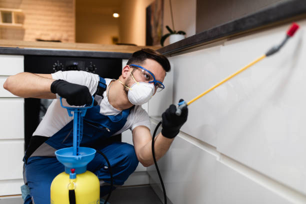 Best Exterminator Services  in East Dublin, GA