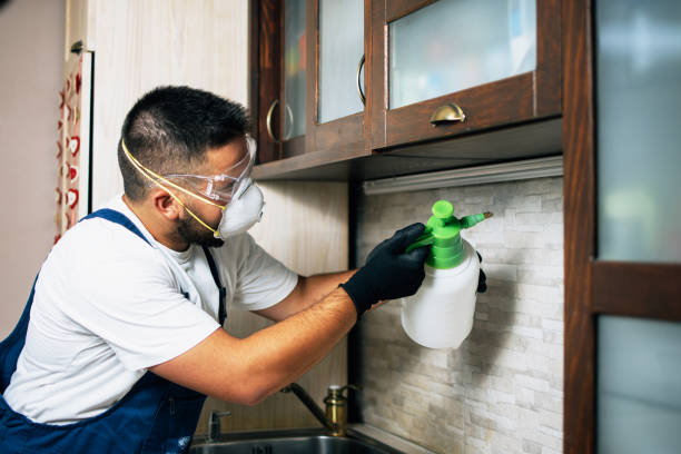 Best Pest Control for Businesses  in East Dublin, GA