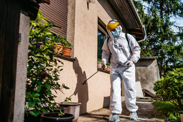 Best Emergency Pest Control  in East Dublin, GA