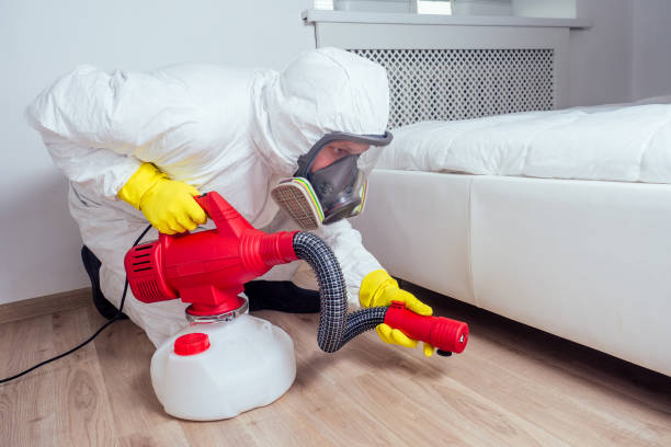 Best Local Pest Control Services  in East Dublin, GA