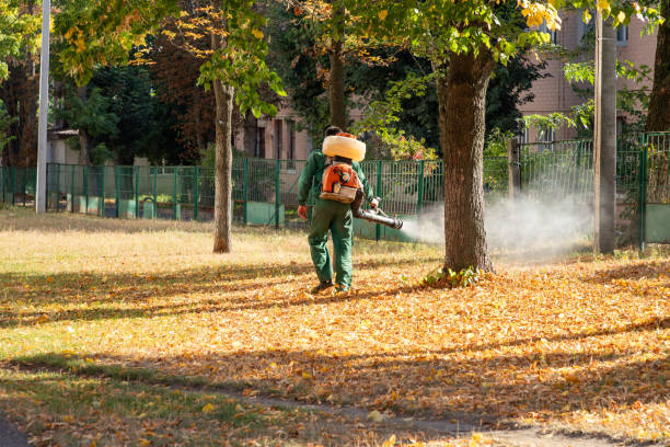 Best Pest Control Treatment  in East Dublin, GA
