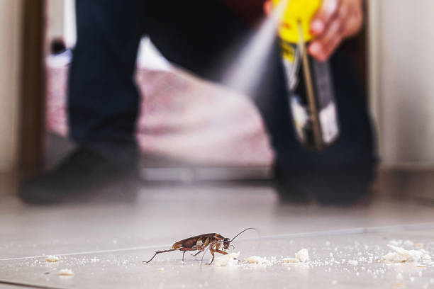 Best Bed Bug Extermination  in East Dublin, GA
